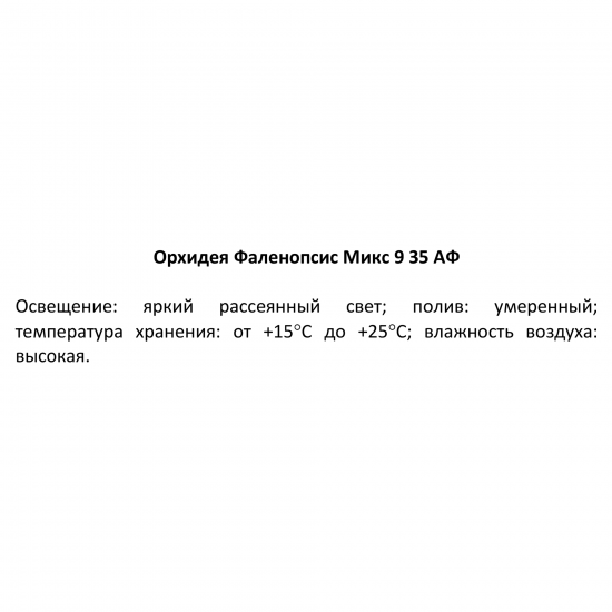 Орхидея Фаленопсис микс ø9 h35 см