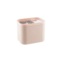 2-секционный органайзер PROFF PLASTIK MINI