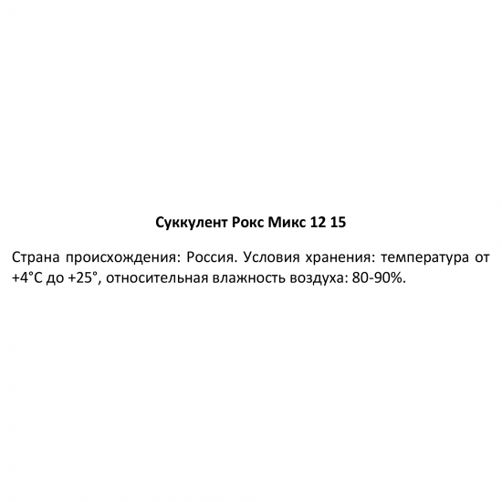 Суккулент Рокс микс ø12 h15 см