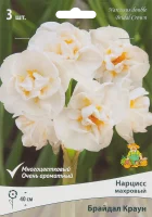 Нарцисс махровый Брайдал краун луковица 10/12, 3 шт.