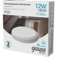 Светильник Gauss BASIC