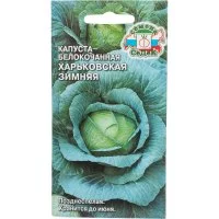 Капуста СеДек Харьковская Зимняя белокочанная, позднеспелая, округло-плоская, 3.5-4.2 кг, евро, 0.5 г