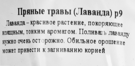 Лаванда ø9 h15 см