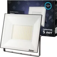 Светодиодный прожектор RITTER PROFI