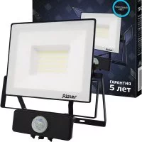 Светодиодный прожектор RITTER PROFI