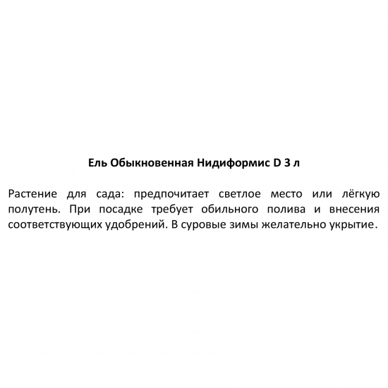 Ель обыкновенная Нидиформис h20 - 40 см