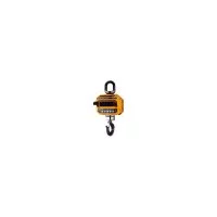 Крановые весы CAS 10 THD Plus