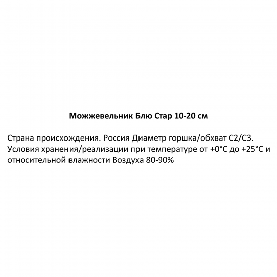 Можжевельник Блю Стар h10-20 см