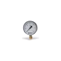 Радиальный манометр Watts F+R250