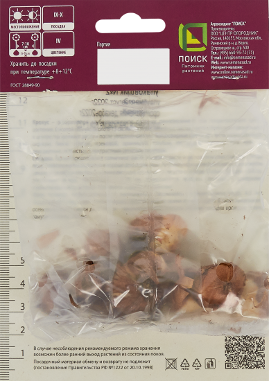 Крокус Зибера Спринг бьюти луковица 5/7, 10 шт.