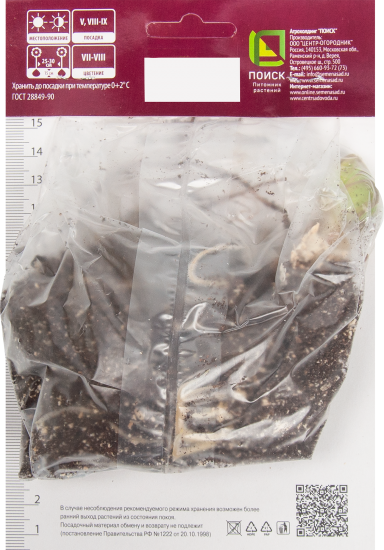 Лилия восточная махровая Лотус пьюр луковица 14/16