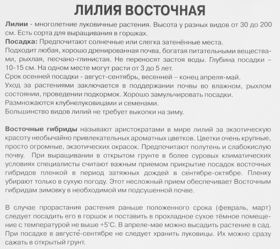 Лилия восточная махровая Лотус пьюр луковица 14/16