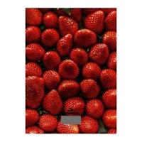 Кухонные весы Добрыня 3011S