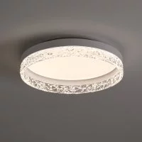 Люстра потолочная светодиодная FR6193CL-L48W с пультом управления 25 м² регулируемый белый свет цвет белый