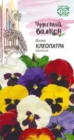 Семена цветов Гавриш Чудесный балкон виола Клеопатра микс