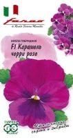 Семена цветов Гавриш Фарао виола Карамель Черри Розе 7 шт.