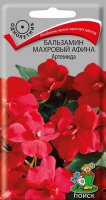 Семена цветов Поиск бальзамин махровый Афина Артемида