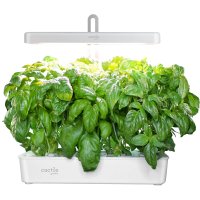 Гидропонная установка Cactus Garden CS-LEDPOT-10