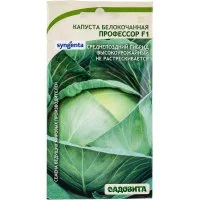 Семена Садовита Syngenta