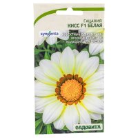 Семена Садовита Syngenta