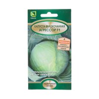 Семена Агрохолдинг ПОИСК 812953