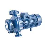 Моноблочный фланцевый насосный агрегат Purity PSTC 32-160/30 (N)