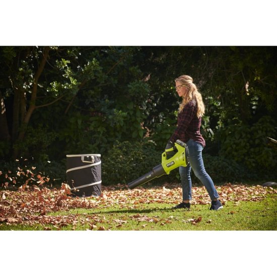 Мешок для травы Ryobi RAC368