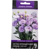 Семена Агрохолдинг ПОИСК 808343