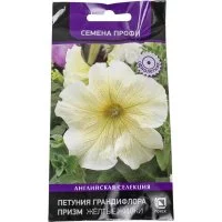 Семена Агрохолдинг ПОИСК 700923