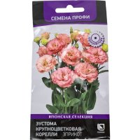 Семена Агрохолдинг ПОИСК 808344
