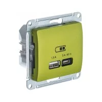 Розетка Systeme Electric Glossa