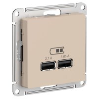 Песочный розетка usb Systeme Electric ATN001233