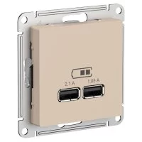 Песочный розетка usb Systeme Electric ATN001233