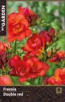 Фрезия махровая красная луковицы 5