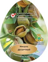 Миндаль Десертный h200 см в сетке Поиск Инвест