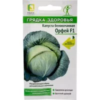 Капуста белокочанная Агрохолдинг ПОИСК Орфей F1 (А)