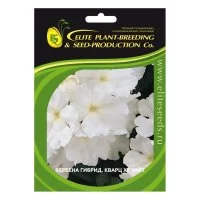 Семена ELITE PLANT-BREEDING & SEED PRODUCTION Co. Вербена гибридная кварц xp уайт