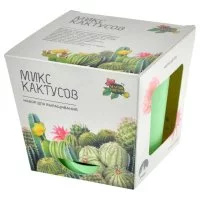 Набор для выращивания растений Магия Цветов Микс кактусов