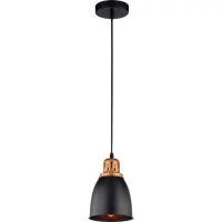 Подвесной светильник ARTE LAMP A4248SP-1BK