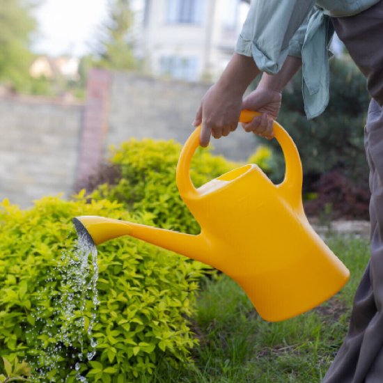 Лейка садовая Radivas 7 л пластиковая с рассеивателем желтая