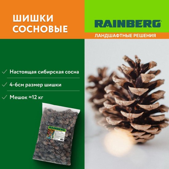 Шишка сосновая декоративная Rainberg 60 л