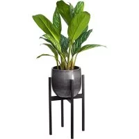 Подставка для кашпо GreenWeen Oxalis 40