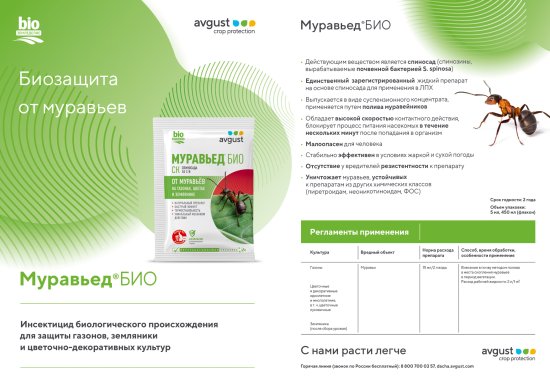 Биоинсектицид для защиты от муравьев Муравьед Био жидкость 5 мл