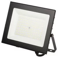 Прожектор светодиодный Эра LPR-062 6500K 70 Вт IP65 черный