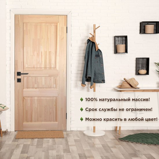 Дверь межкомнатная ДГФ-3Ф-2 800х2000 мм массив без покрытия глухая