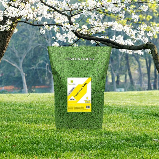 Семена газонной травы Настоящий солнечный Газон Сити 10 кг