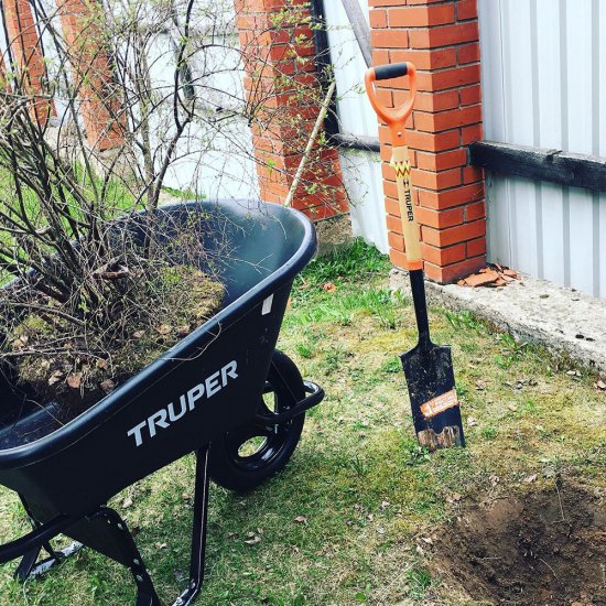 Лопата штыковая Truper Т-2000 углеродистая сталь дренажная с деревянным черенком 550 мм (17163)