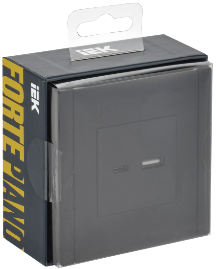 Розетка встраиваемая USB IEK Forte&Piano цвет черный