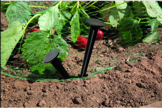 Гвозди крепежные BEGINIA 15 см 20 шт.