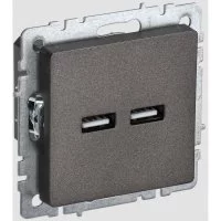 Розетка usb IEK Brite